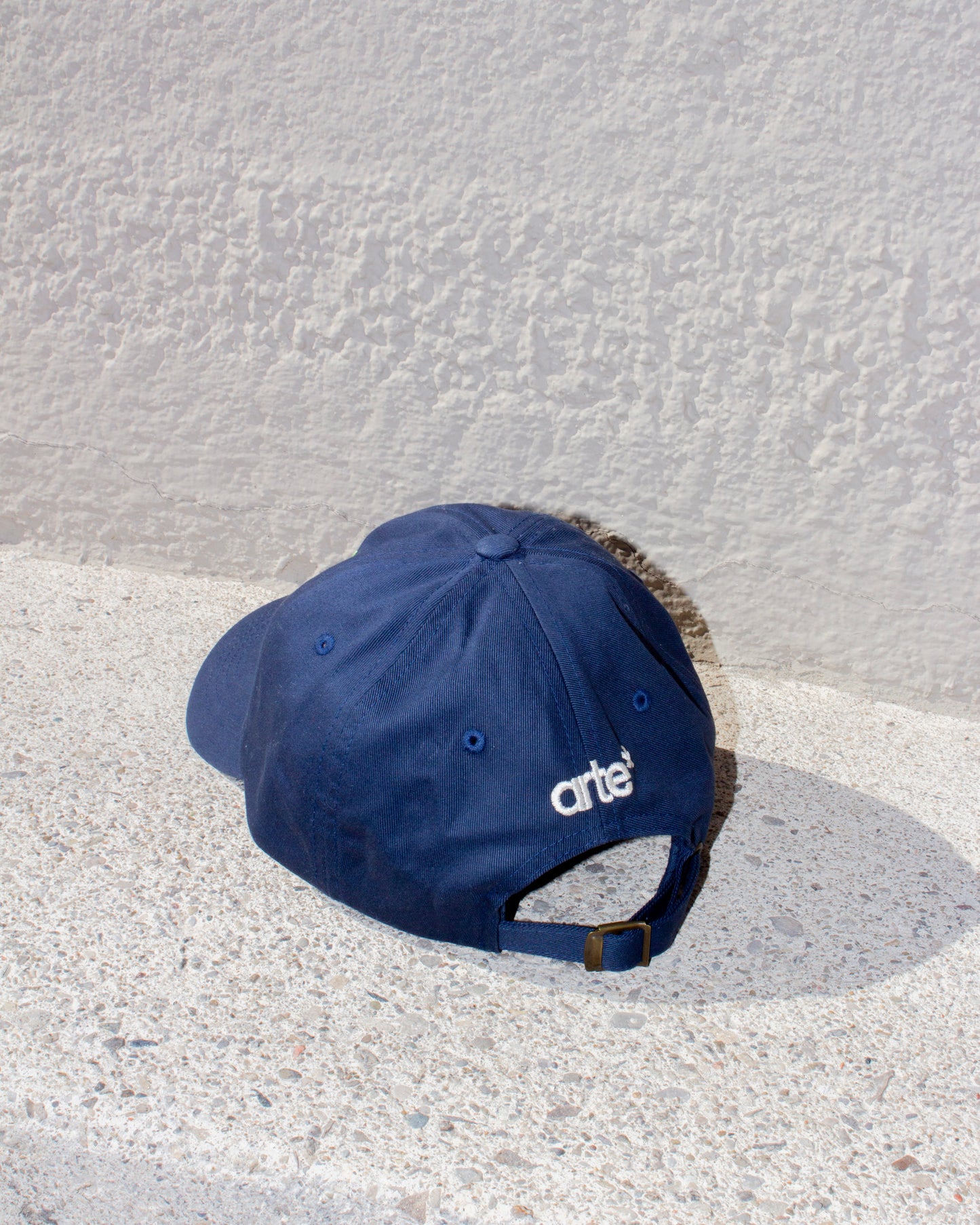 arte* Hat Back