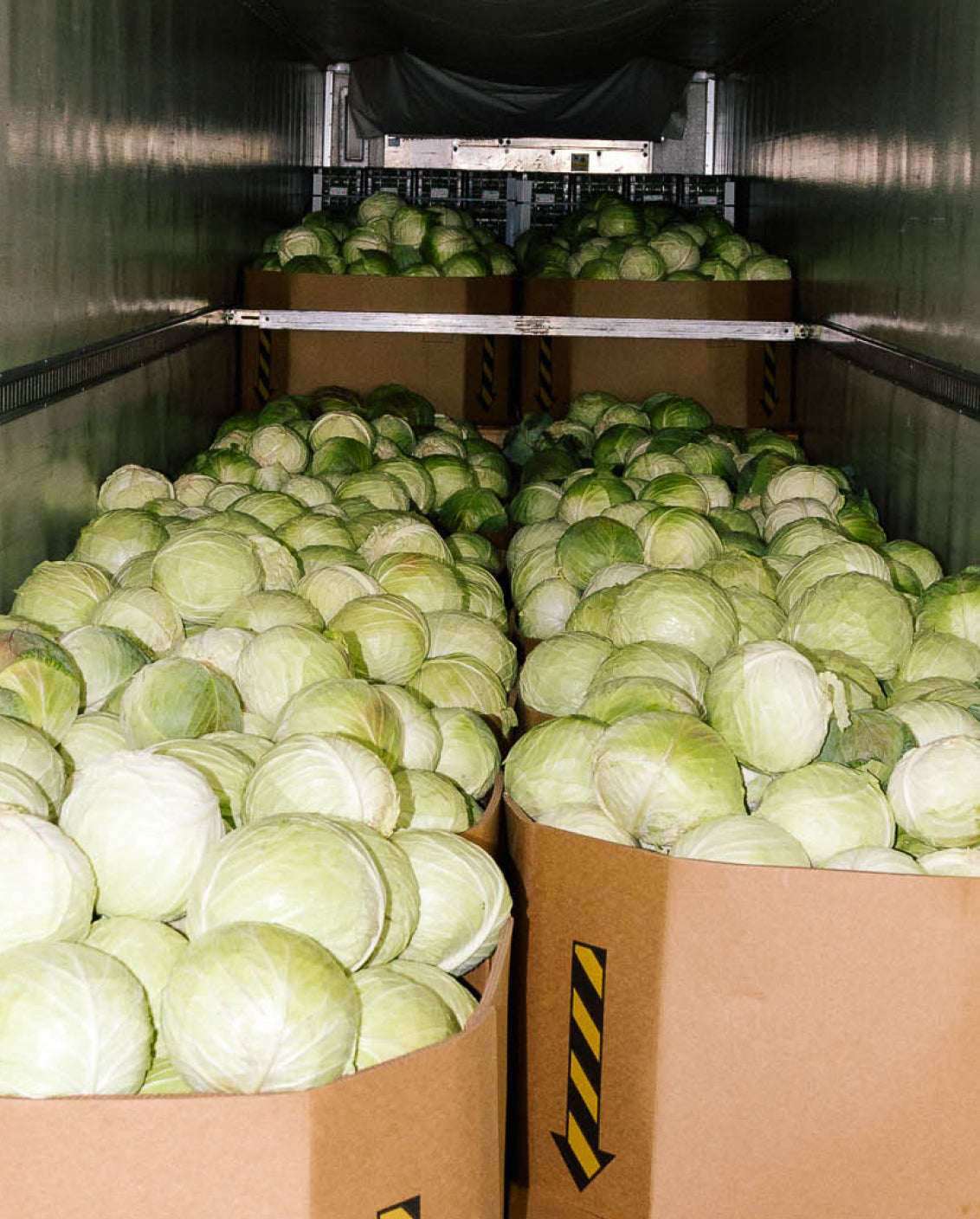 arte* salads Cabbage