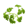 parsley