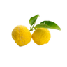 honey yuzu dressing